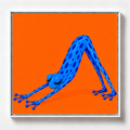 Ilustración de una rana azul estirada en pose de yoga sobre fondo naranja, obra Tierra de la colección Ranas Azules